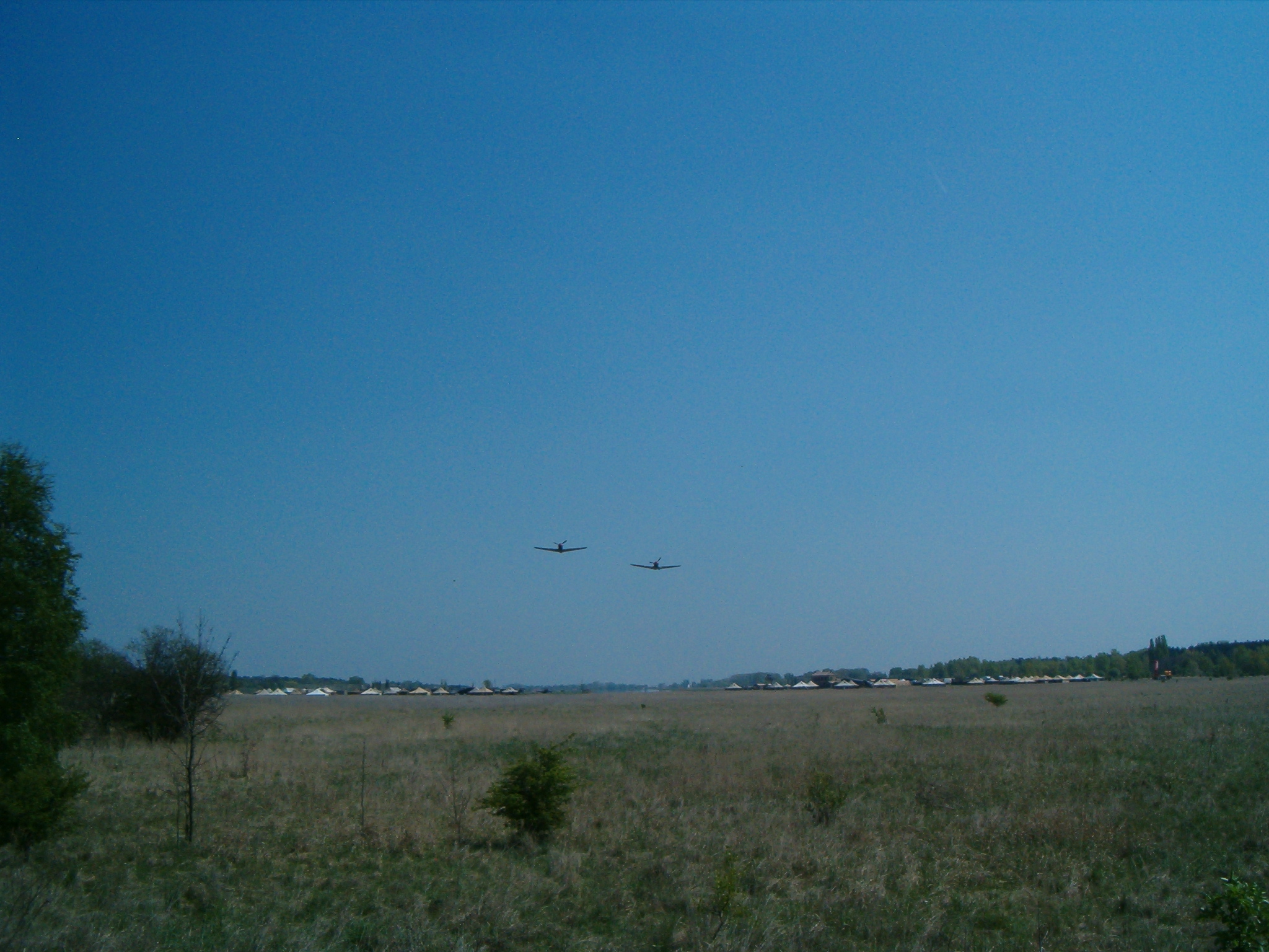 Mustangov v akci podruh